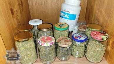 2.5 kg narkotyków zabezpieczone przez radomskich policjantów