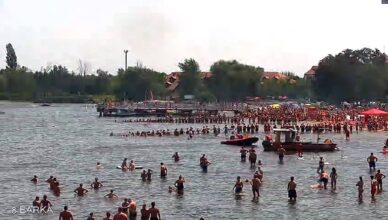 Wczoraj na Jeziorze Zegrzyńskim plażowicze utworzyli tzw. łańcuch życia
