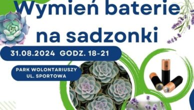 Marki - wymień baterie na sadzonki