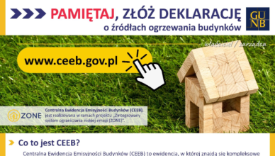 Złóż deklarację CEEB