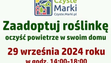 Marki - zaadoptuj roślinkę - oczyść powietrze w swoim domu