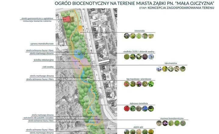 Ząbki - Nowy park miejski na ul. Herberta