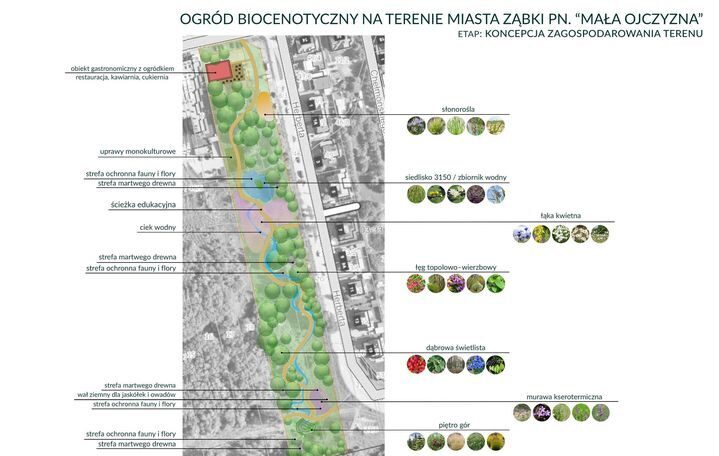 Ząbki - Nowy park miejski na ul. Herberta