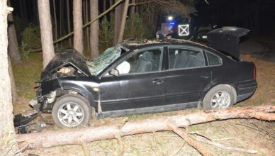 Jedna osoba zginęła, a pięć trafiło do szpitala. Tragiczny finał wypadku drogowego.