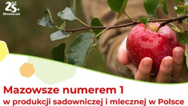 Mazowsze numerem 1 w produkcji sadowniczej i mlecznej w Polsce