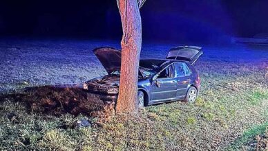 Kolejne zdarzenia z łosiami. Uwaga na dzikie zwierzęta na drodze.