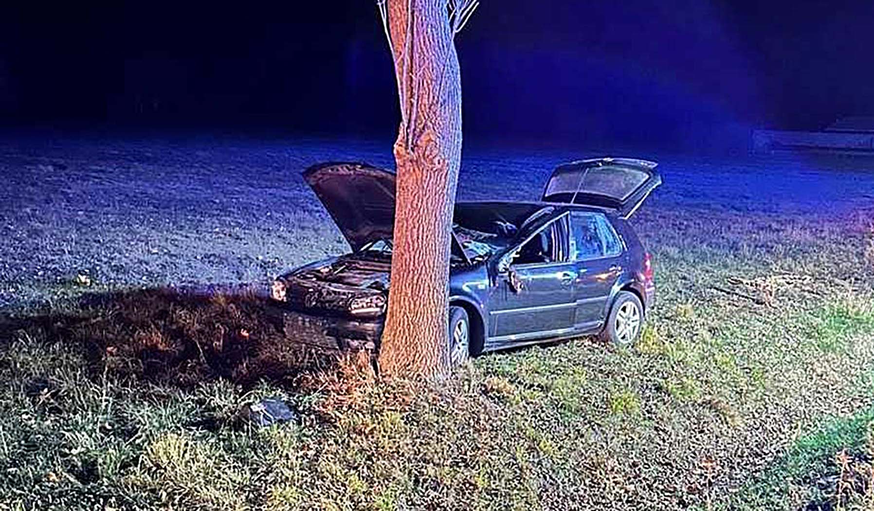 Kolejne zdarzenia z łosiami. Uwaga na dzikie zwierzęta na drodze.