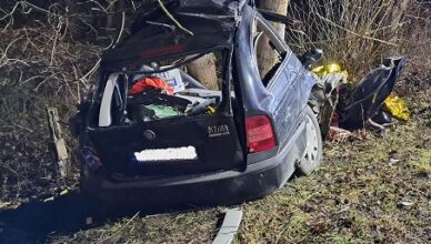 3 osoby poniosły śmierć. Tragiczny wypadek w Skokach.