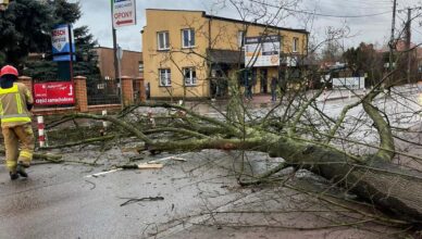 Mazowsze sparaliżowane przez żywioł: 755 interwencji strażaków w ostatnich godzinach