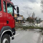 Drzewo spadło na samochód dostawczy