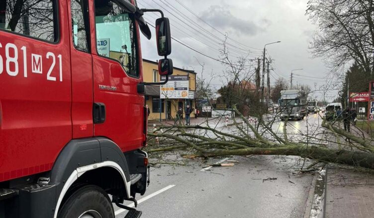 Drzewo spadło na samochód dostawczy