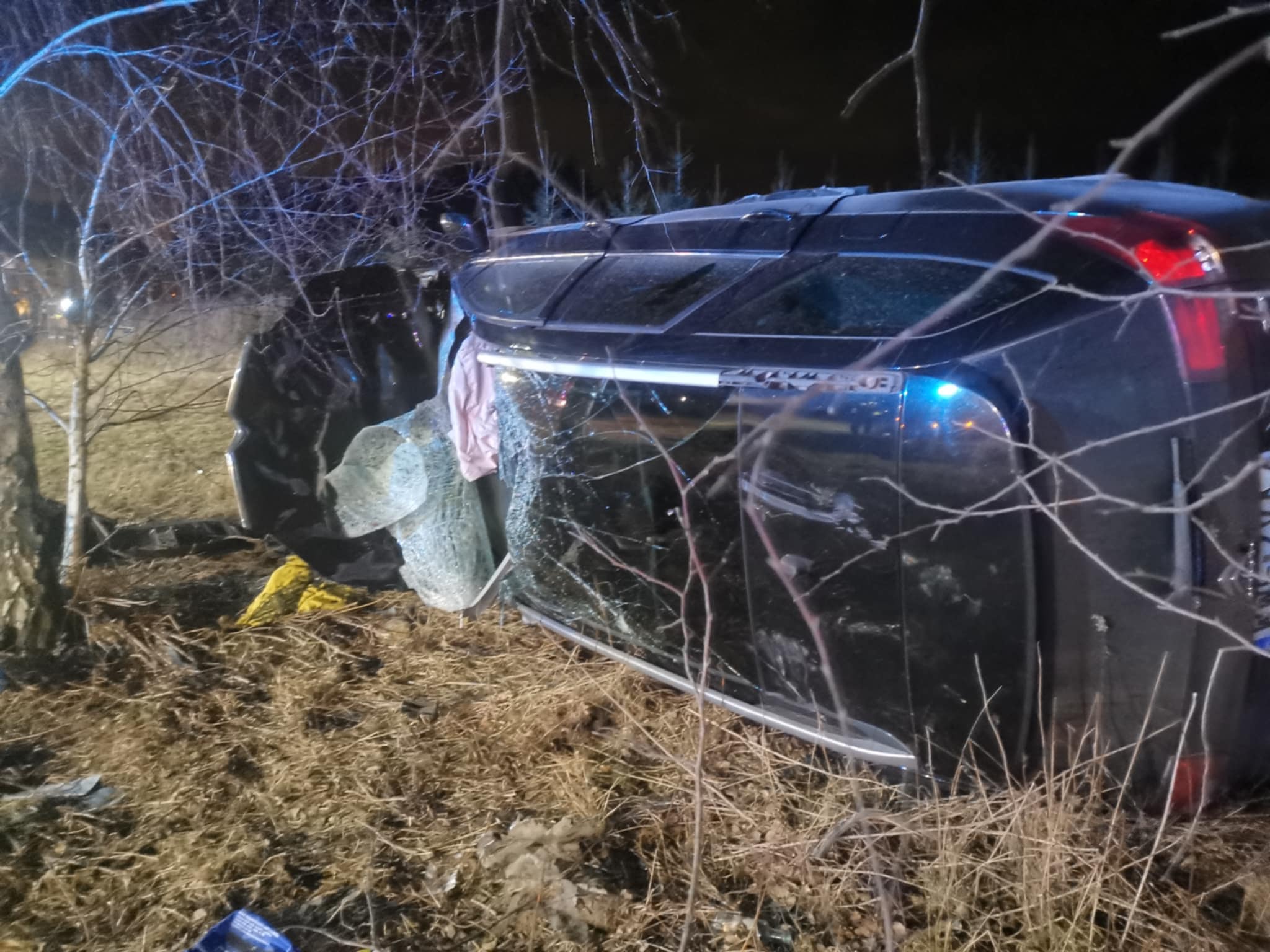 Wypadek z udziałem łosia w Mokrej Wsi – dwie osoby poszkodowane